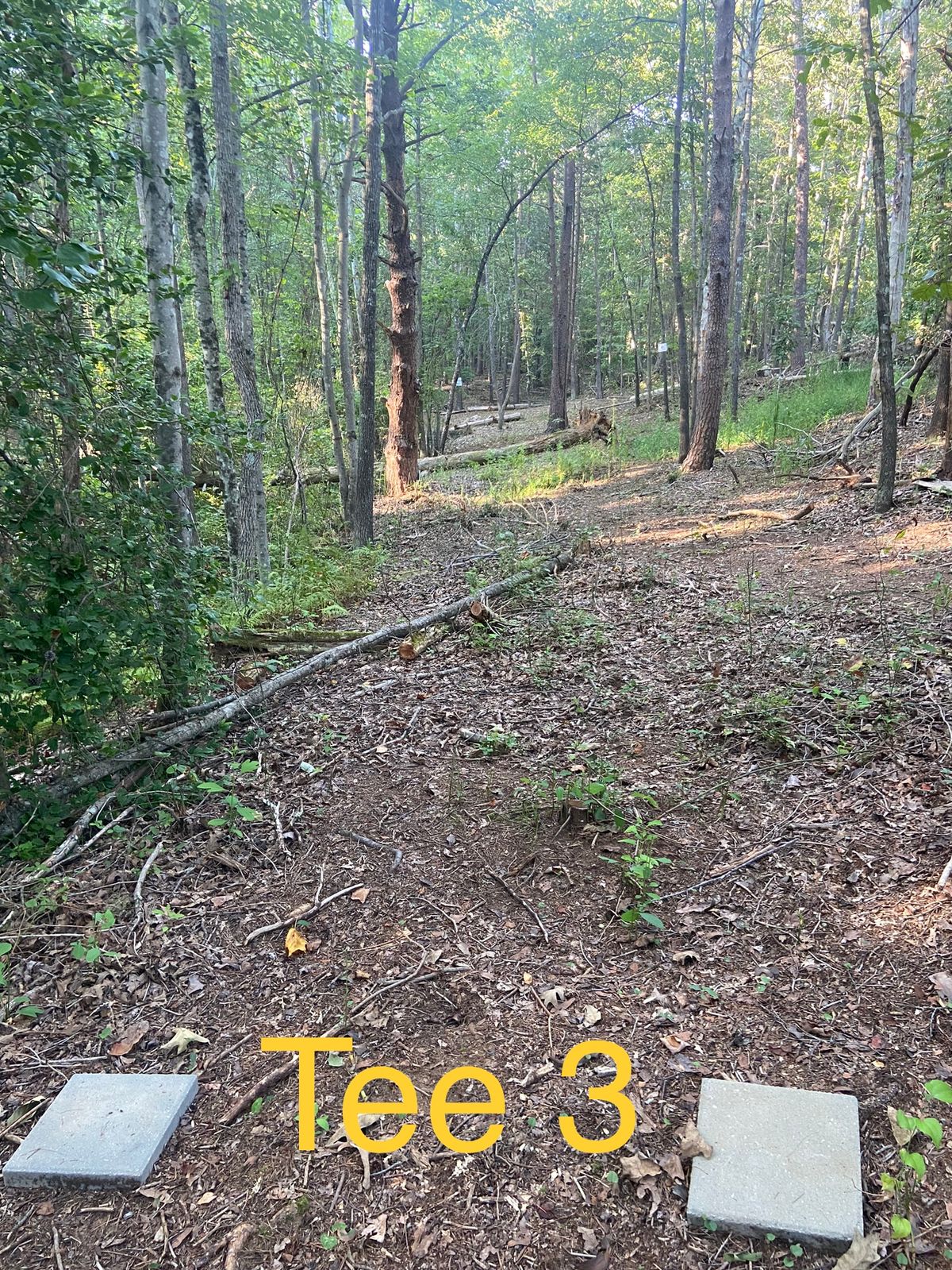 Left dogleg