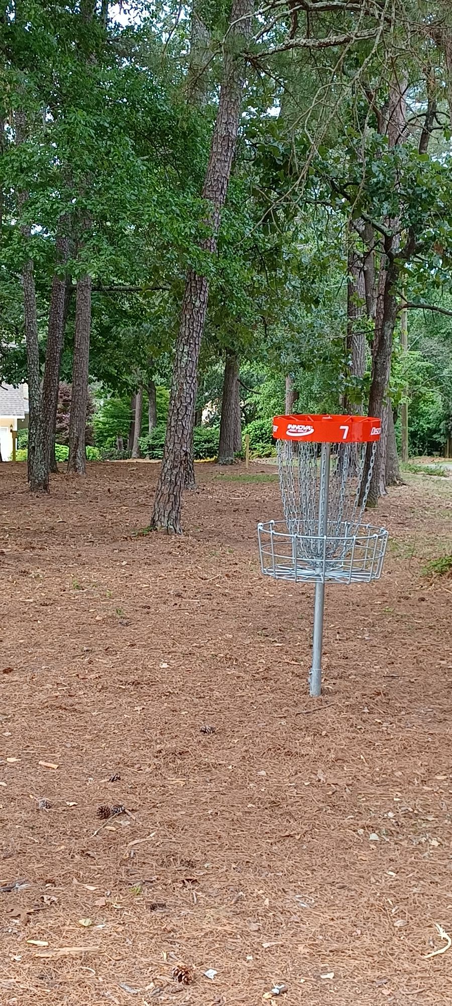 View behind the basket