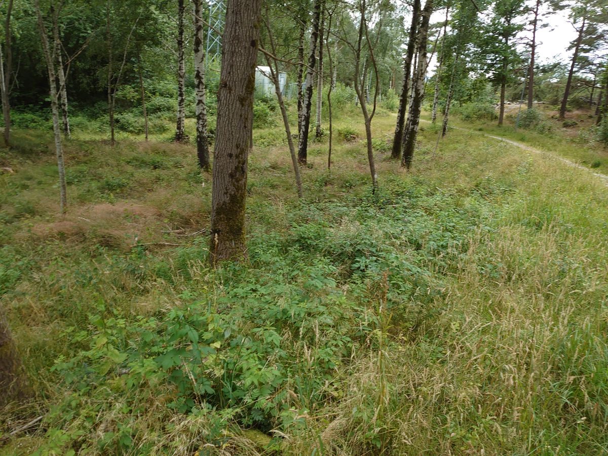 Så såg det ut idag när jag var där tidigare i dag.