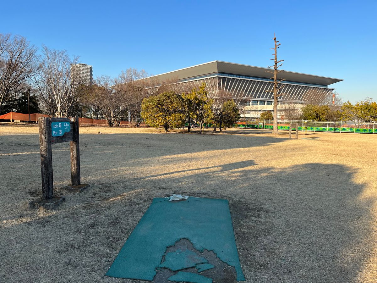 Tee 5, I mando left of the single tall and bare tree on the right side. Basket is behind bushes