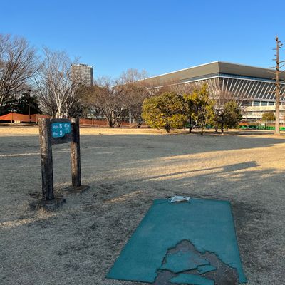 Tee 5, I mando left of the single tall and bare tree on the right side. Basket is behind bushes