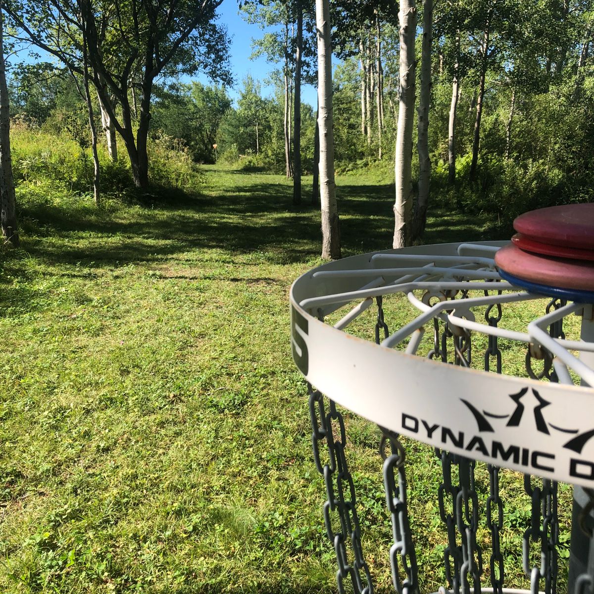 View from hole 5 basket