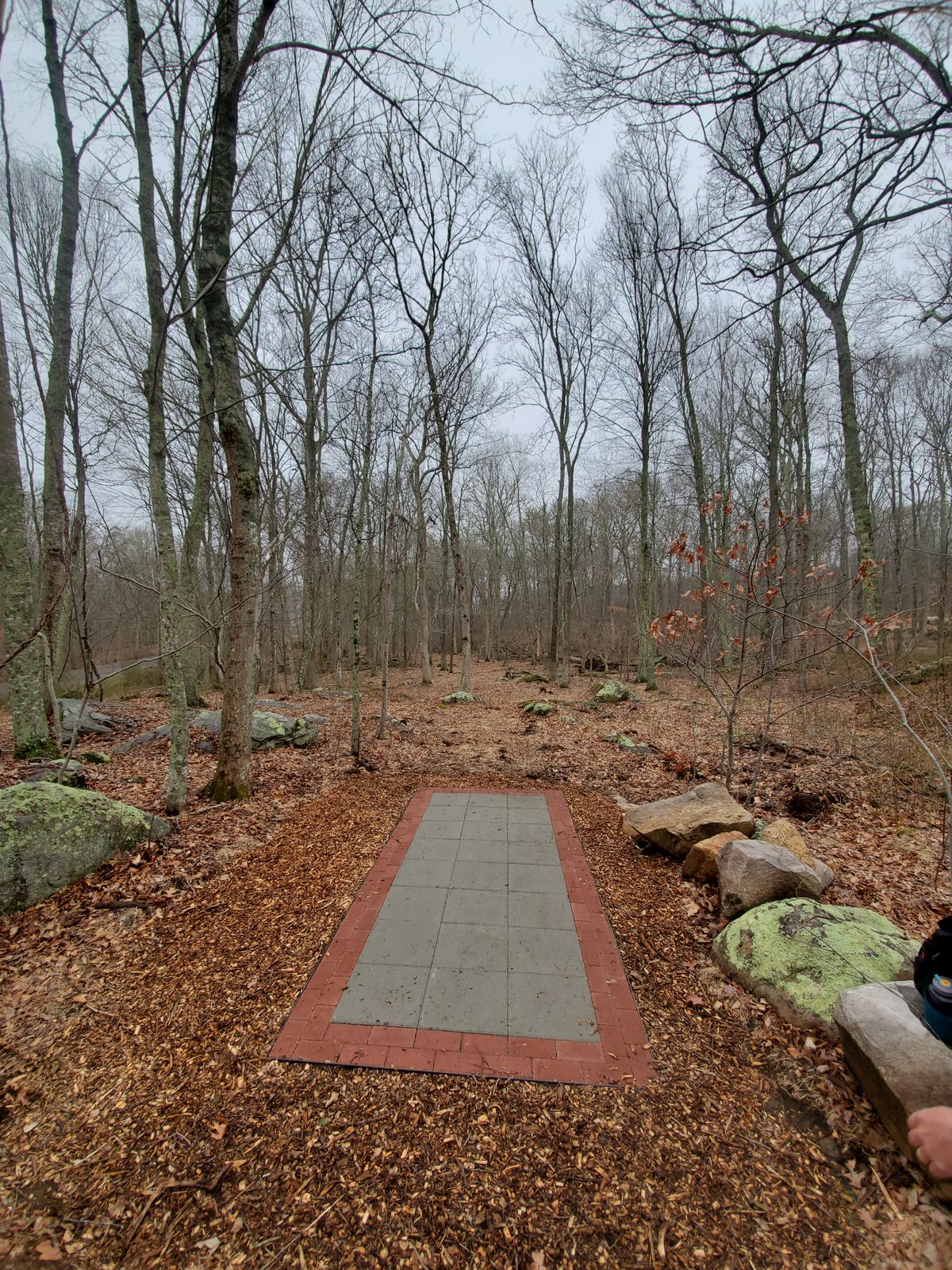 5th tee