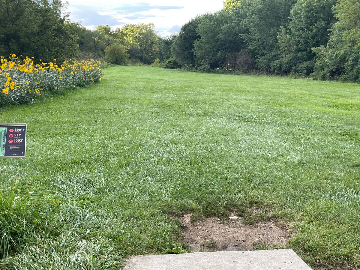 Signature Hole 11, the Rivers Edge