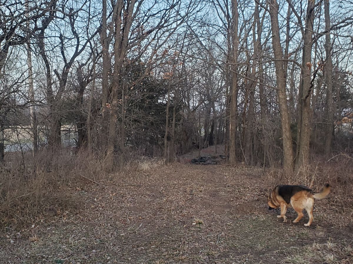 Hole 6 landing zone looking at the tees
