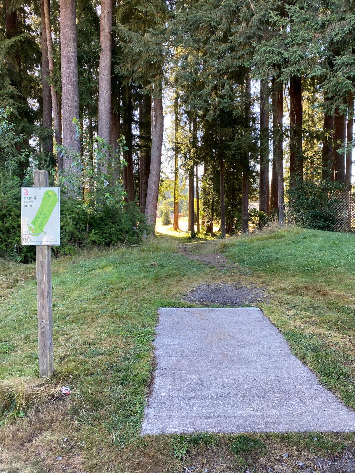 Short Tee Pad Hole #3