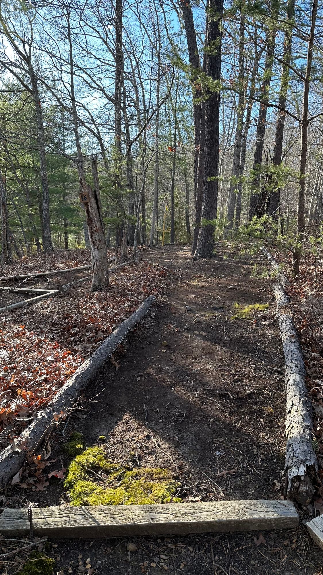 Original front 9 / Errand Wolfe | Ace Hole