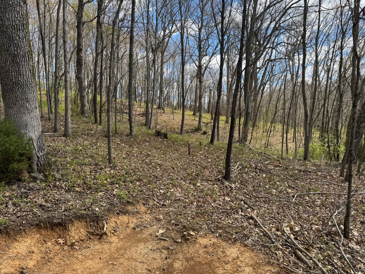 Hole 8 tee