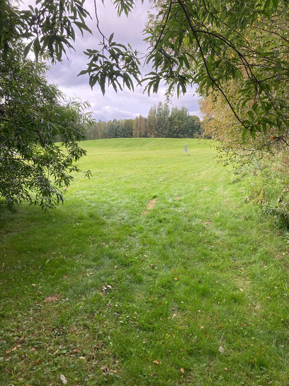 Tee 4