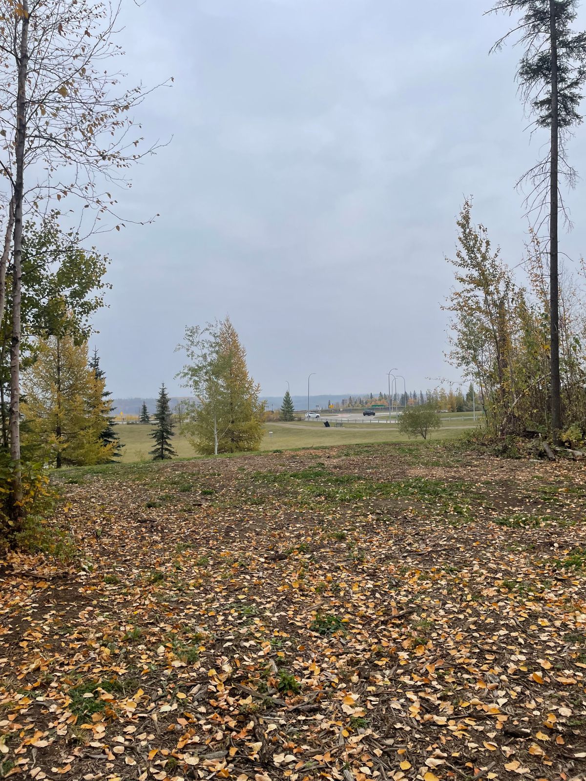 landing area, looking back towards the tee pads