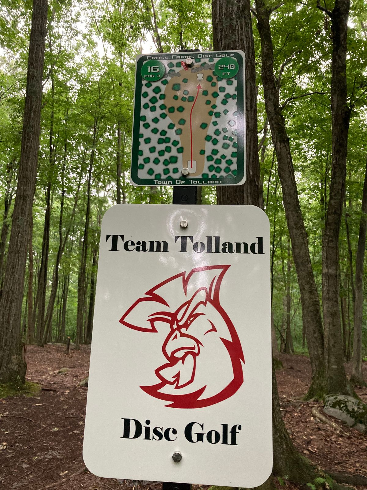 Hole 16. Park it!
