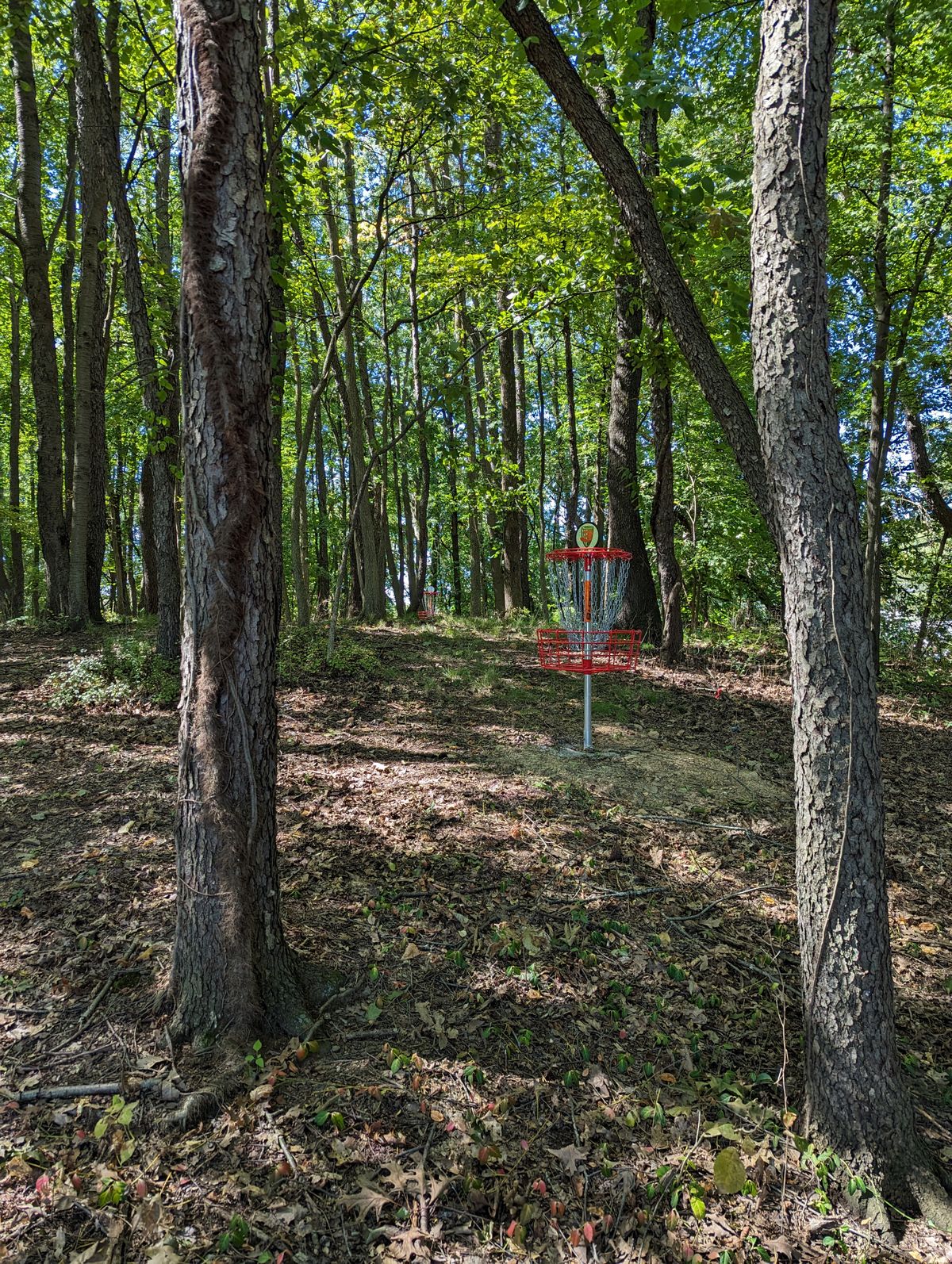 Hole 3 Basket