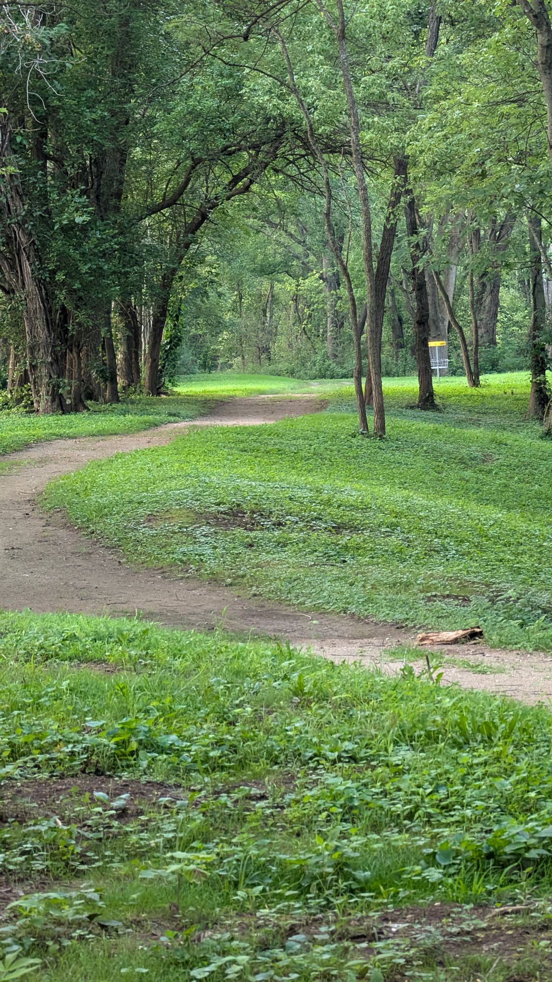 Hole 11