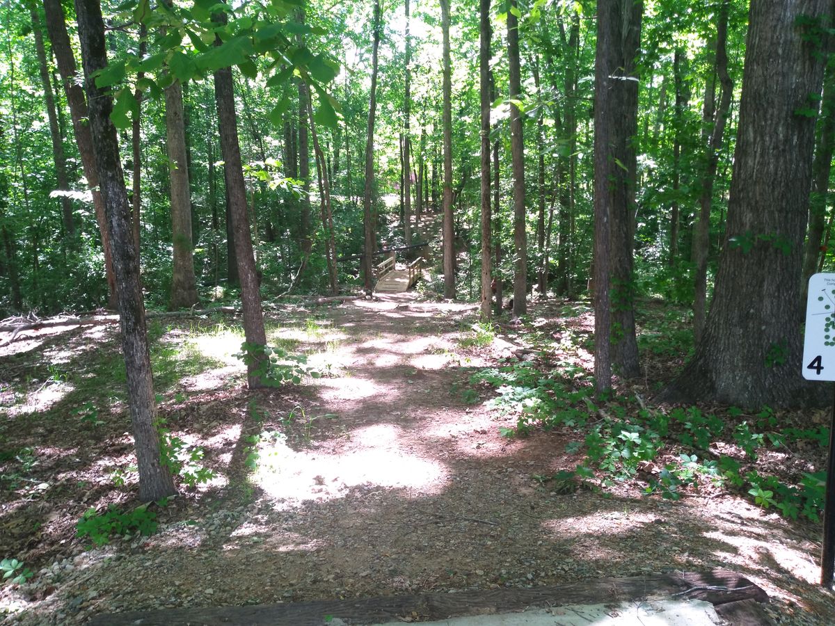 Hole 4, basket visible in the center.