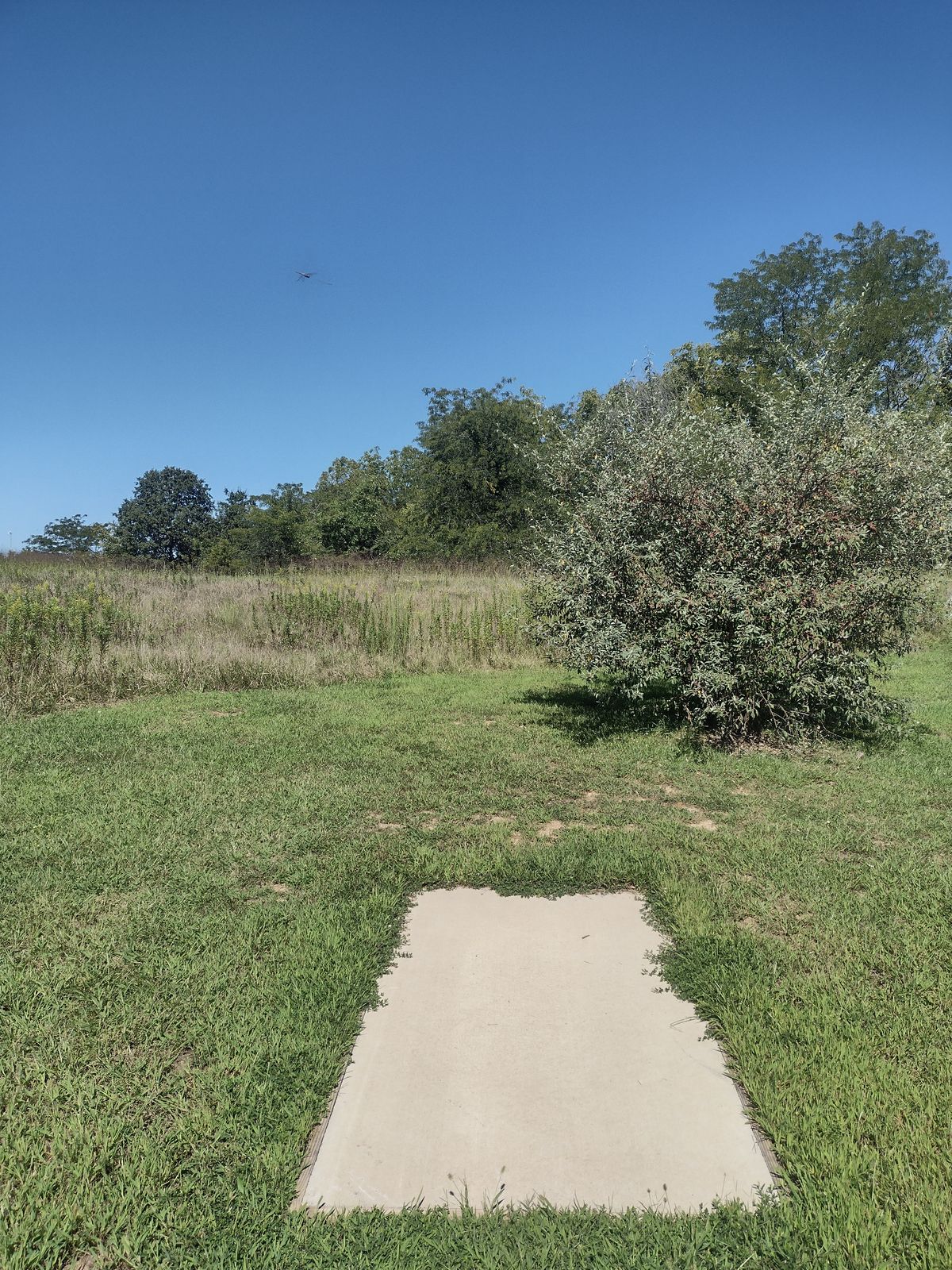Hole 8 Tee. Basket straight ahead.