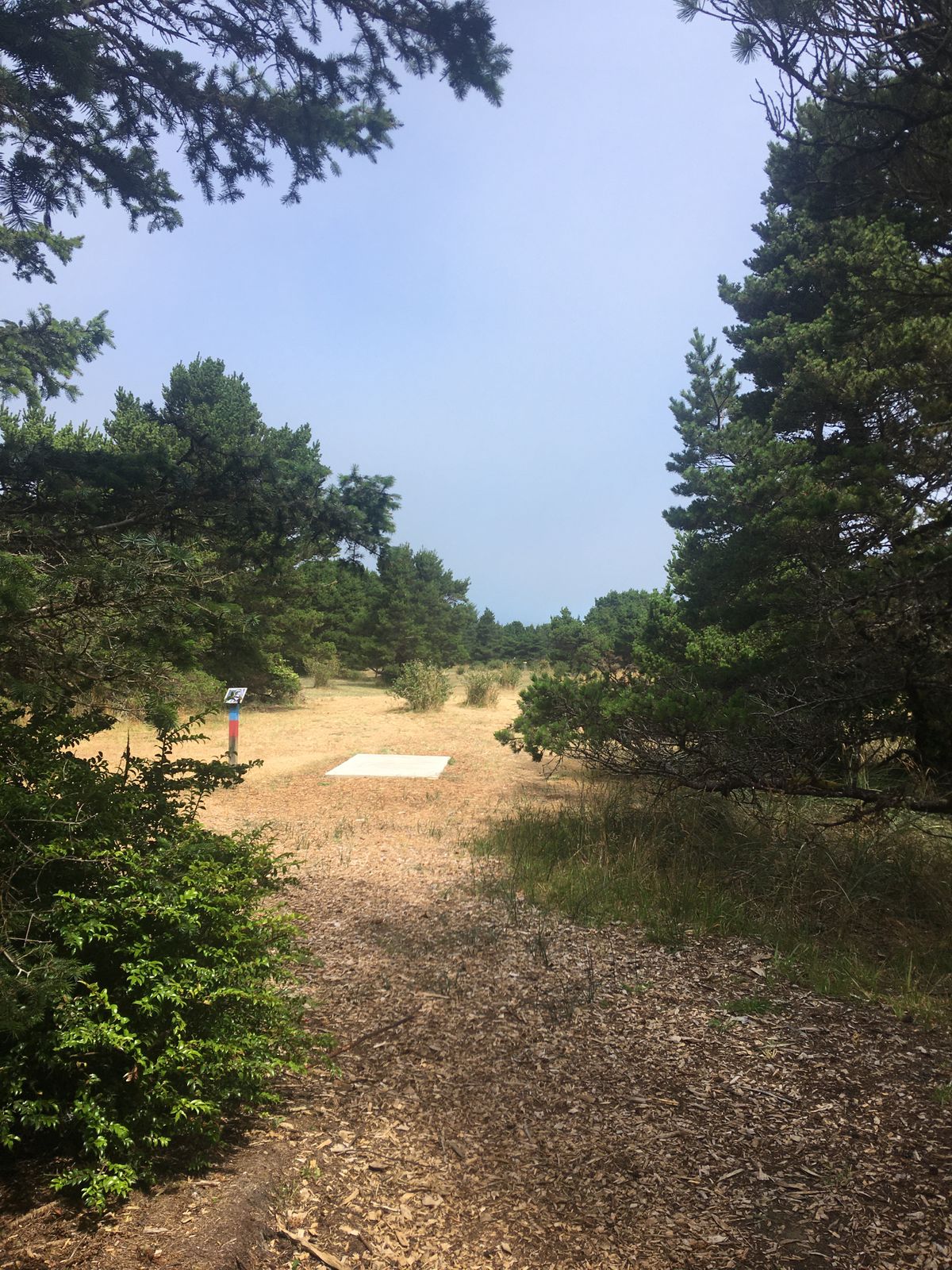 Love this course!