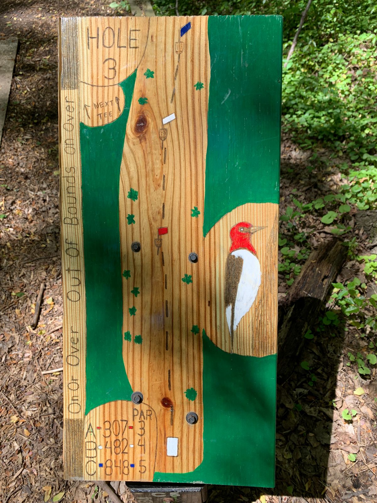Hole 3 Map