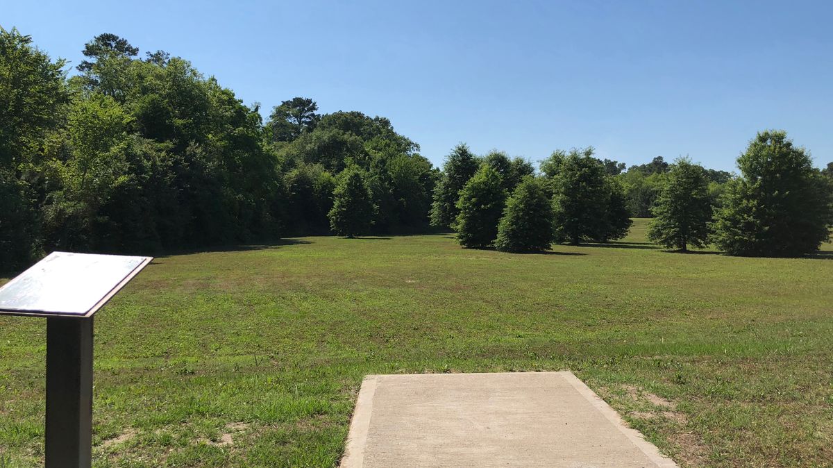 Hole 11