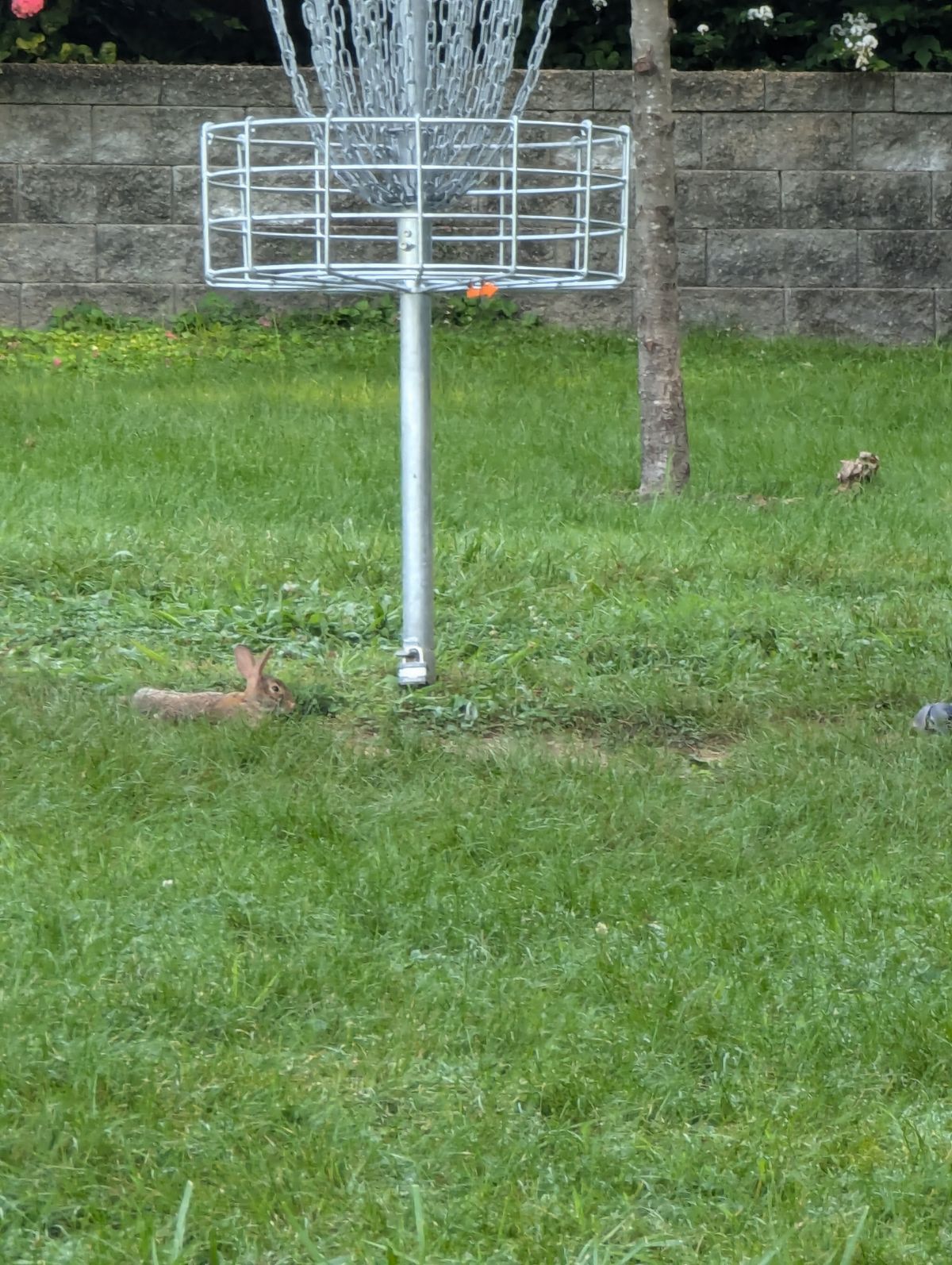 Spotters on 3.