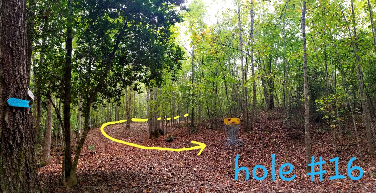 Hole #16