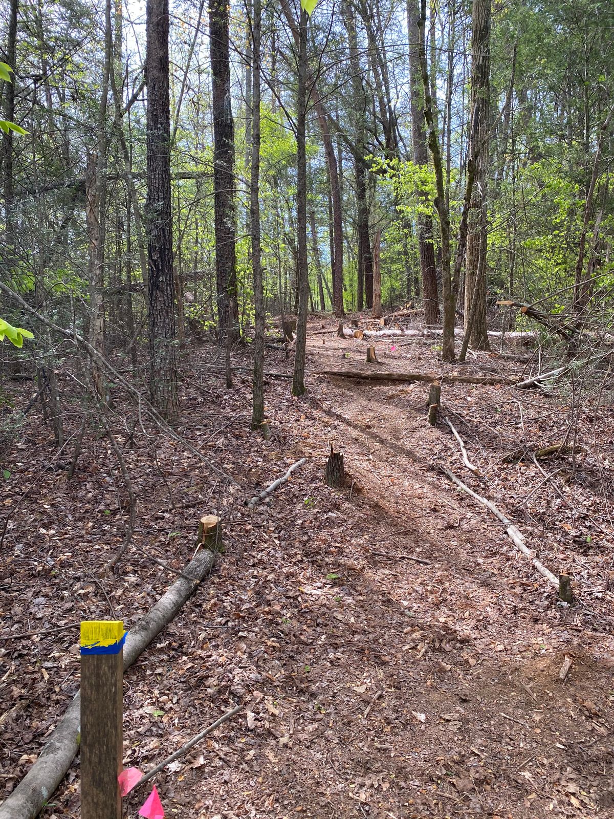 Hole 9.  Uphill then downhill to the left.