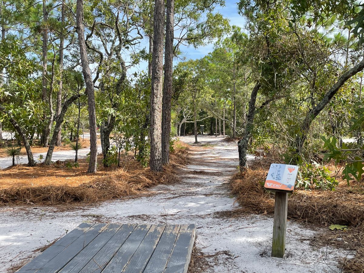 Hole 15
