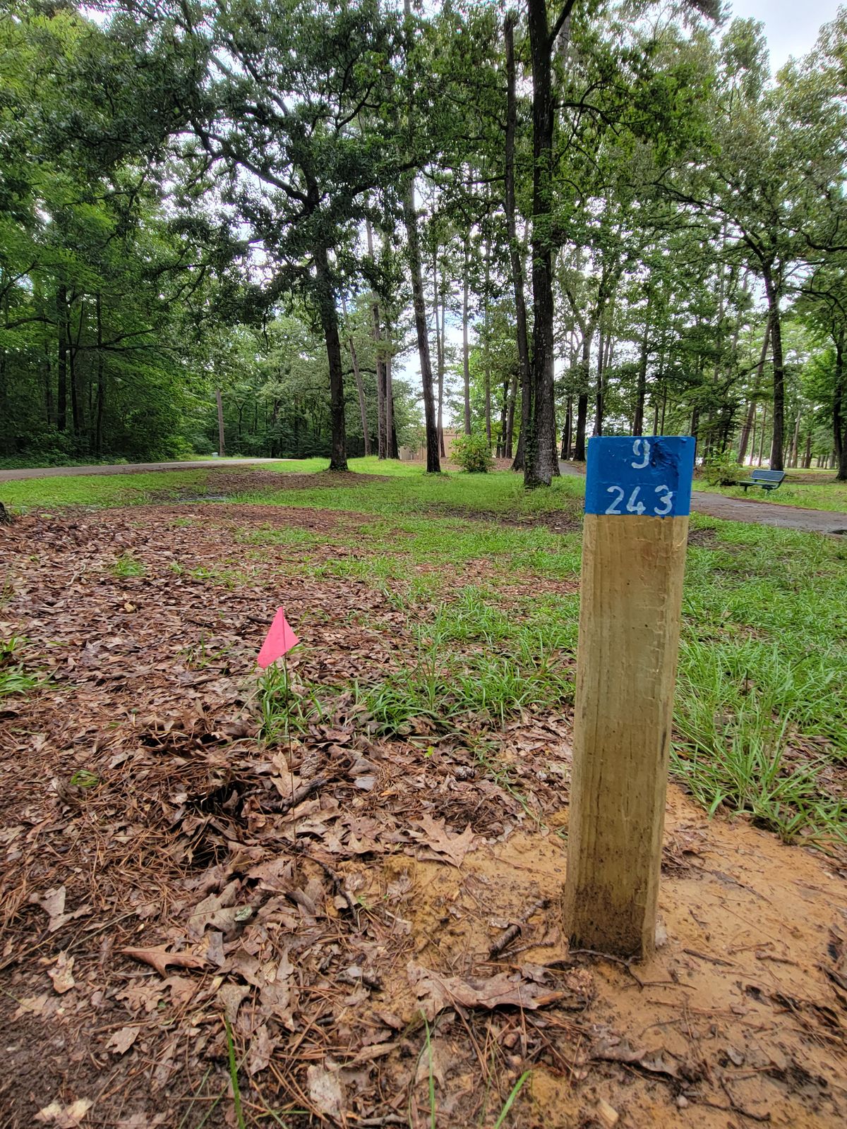 9th tee