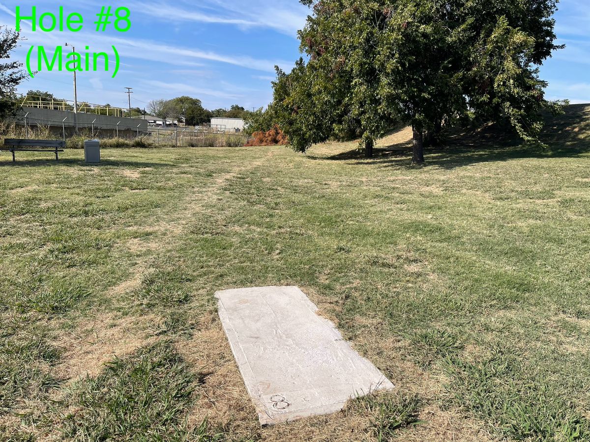 Hole #8 (Main) - Basket is located behind the trees on the hill.