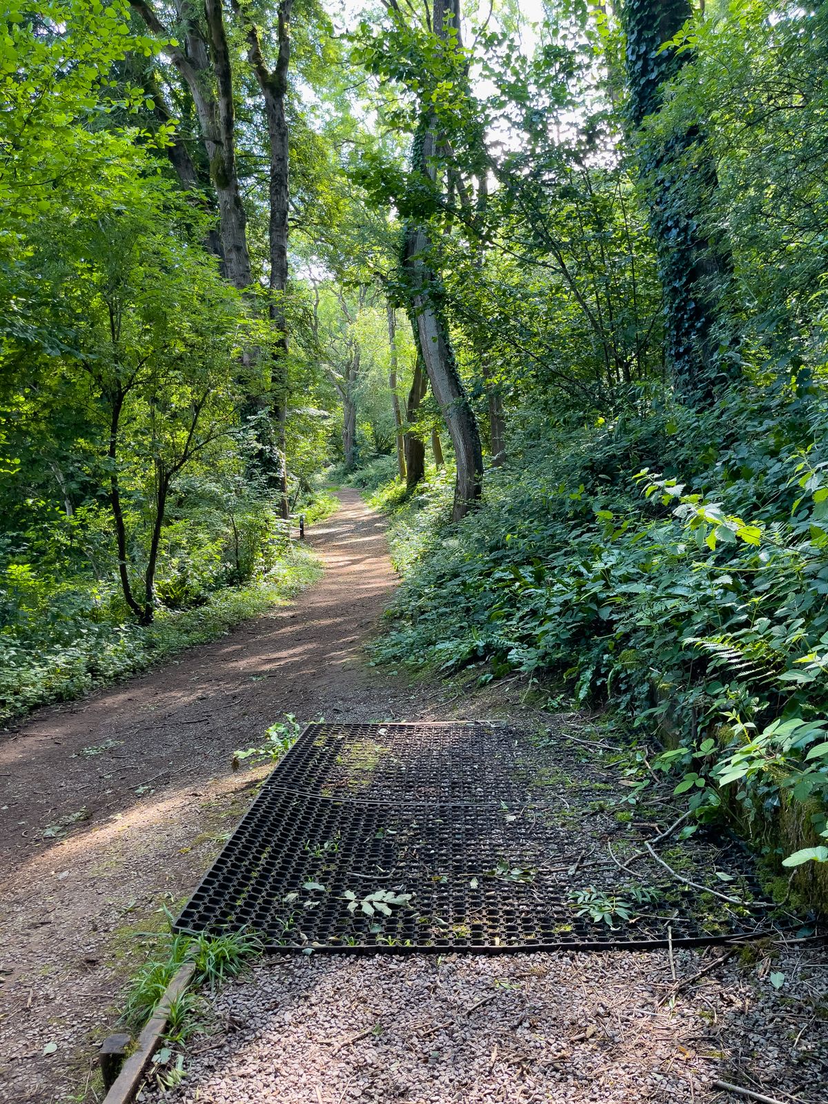 Hole 1, Red Tee