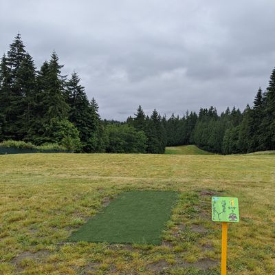 Top of the world Gold #1 tee