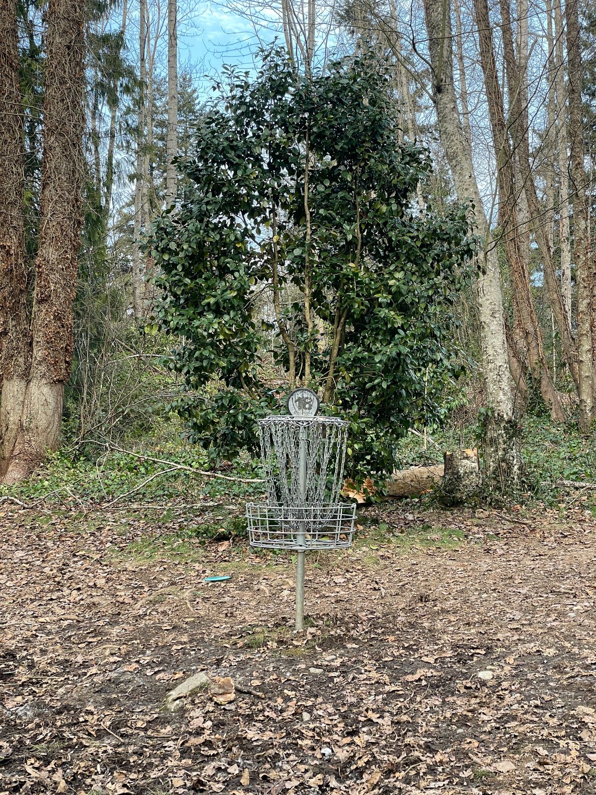 Hole 18