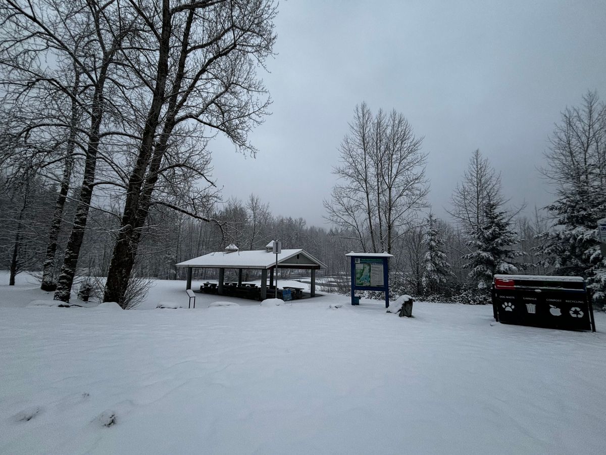 Covered picnic tables between Summer 1 and Summer 3