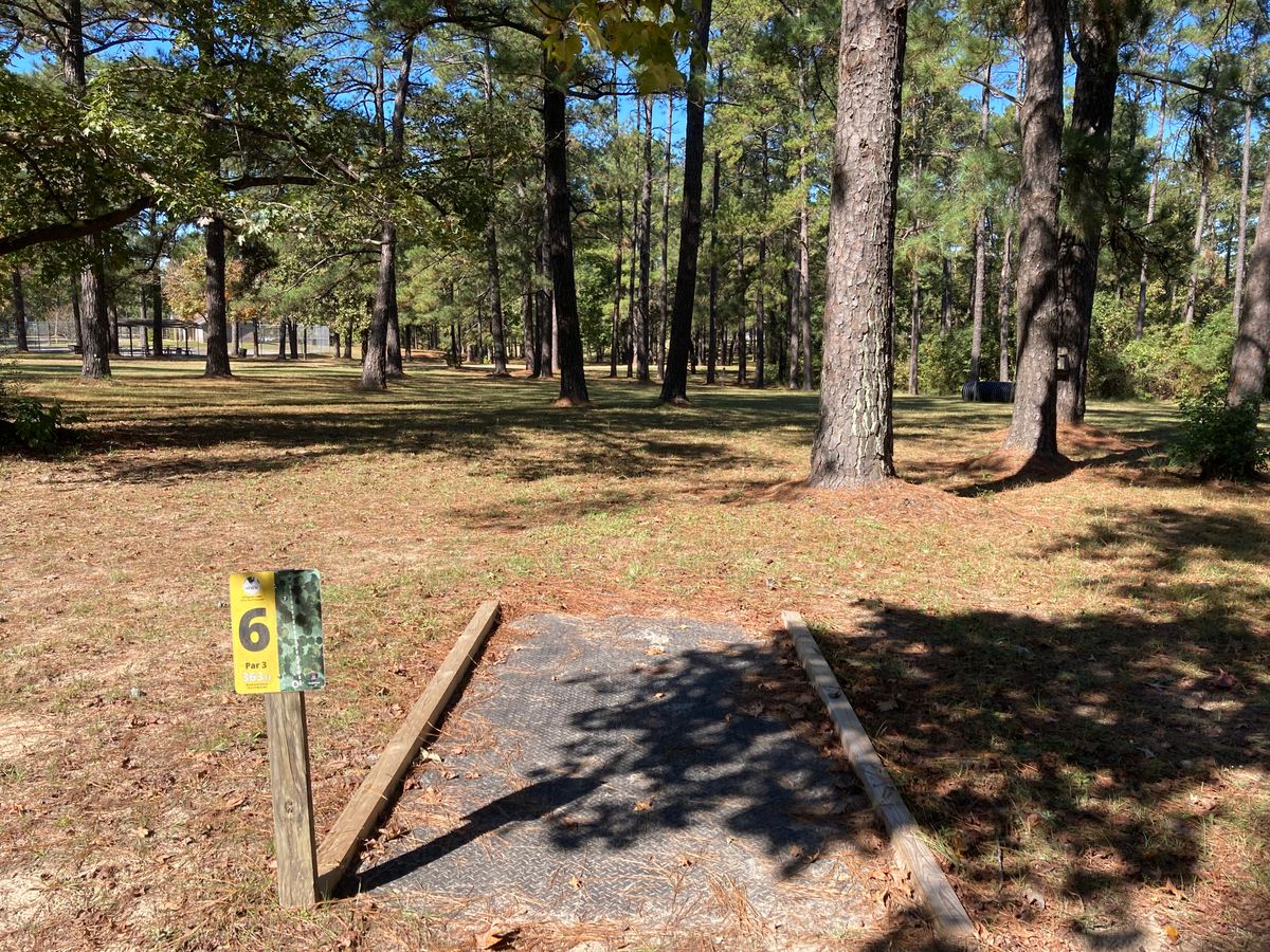 Hole 6 Tee
