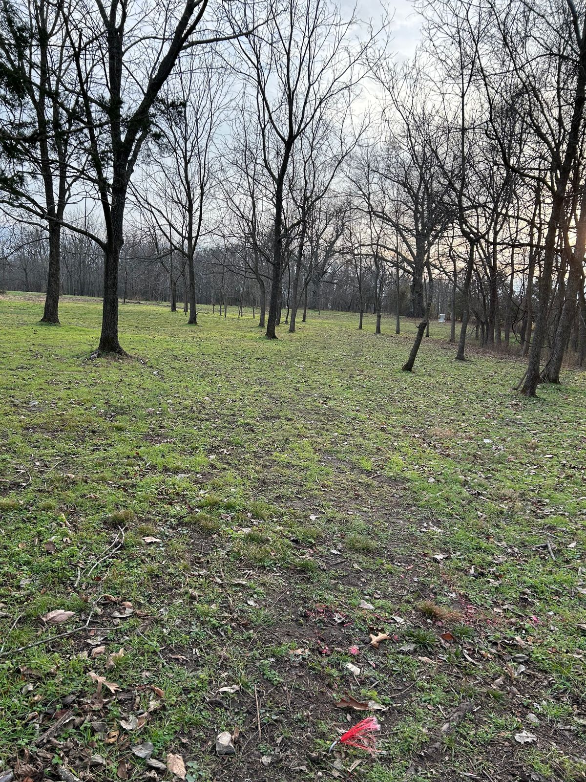 Hole 3 from tee area