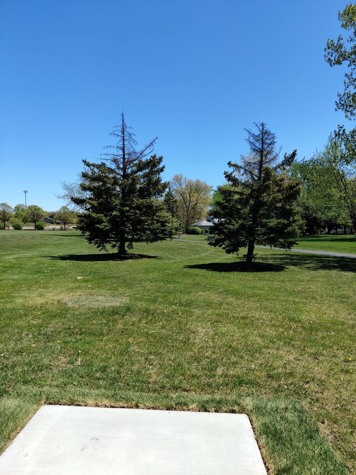 Hole #7 tee
