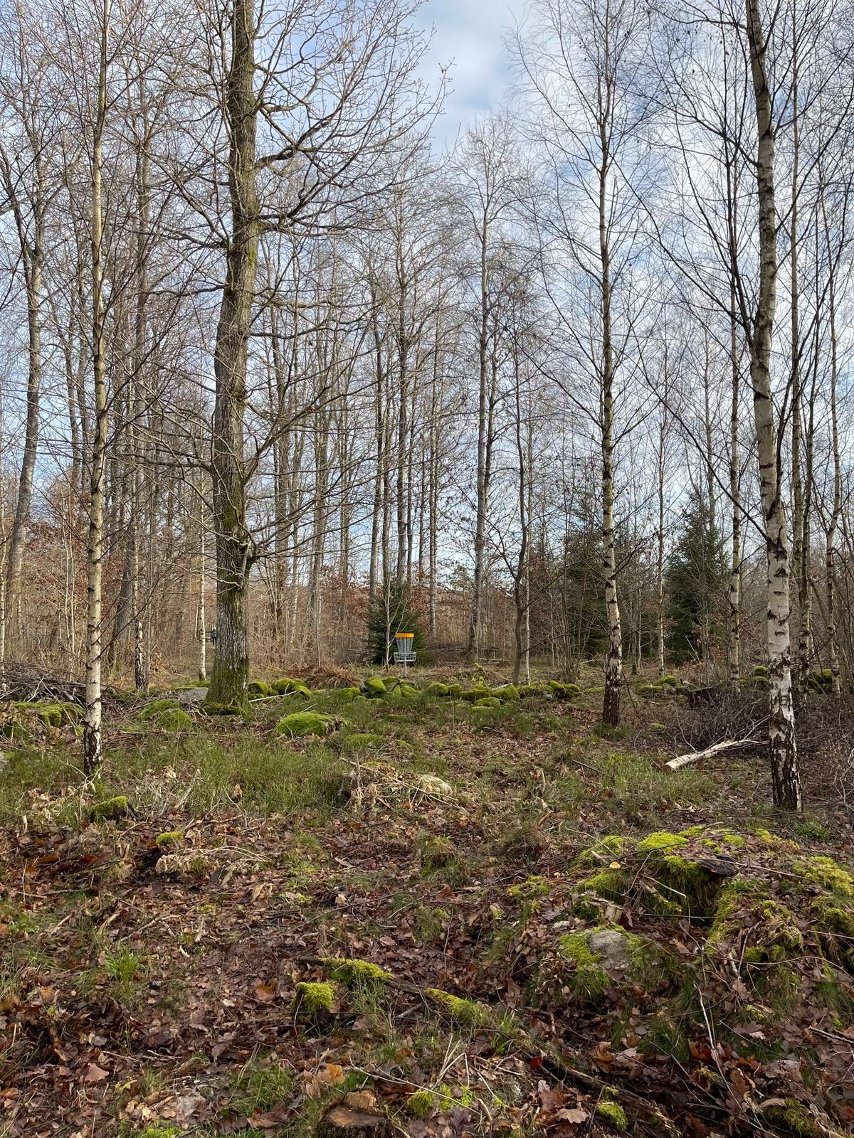 Course photo