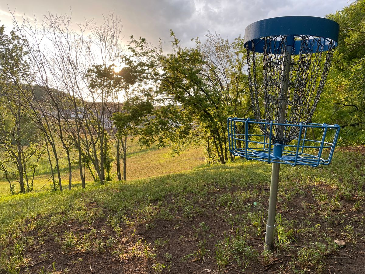 Hole 8, behind the basket.
