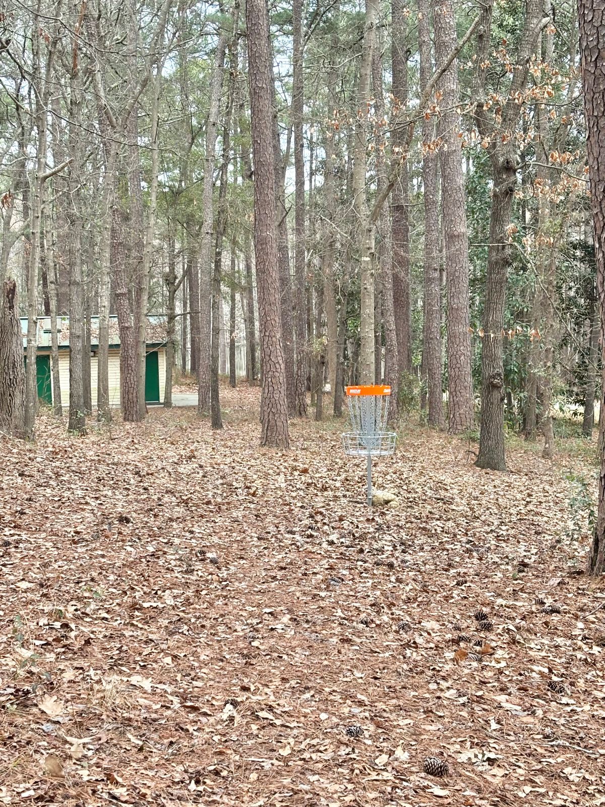 Hole 1 Basket
