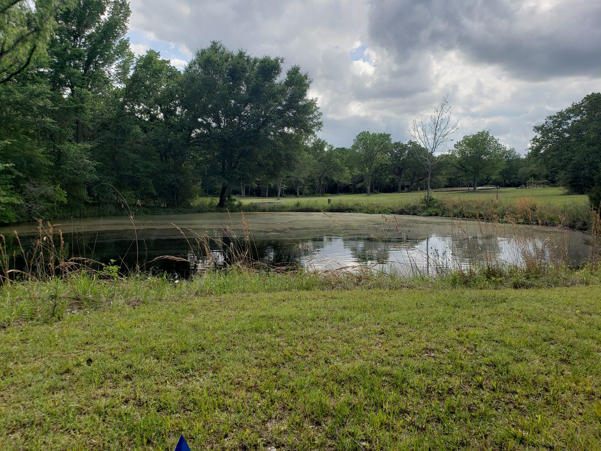 New hole 16 long