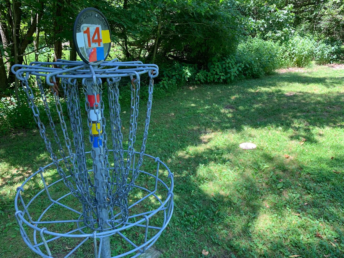 14 shared basket and green