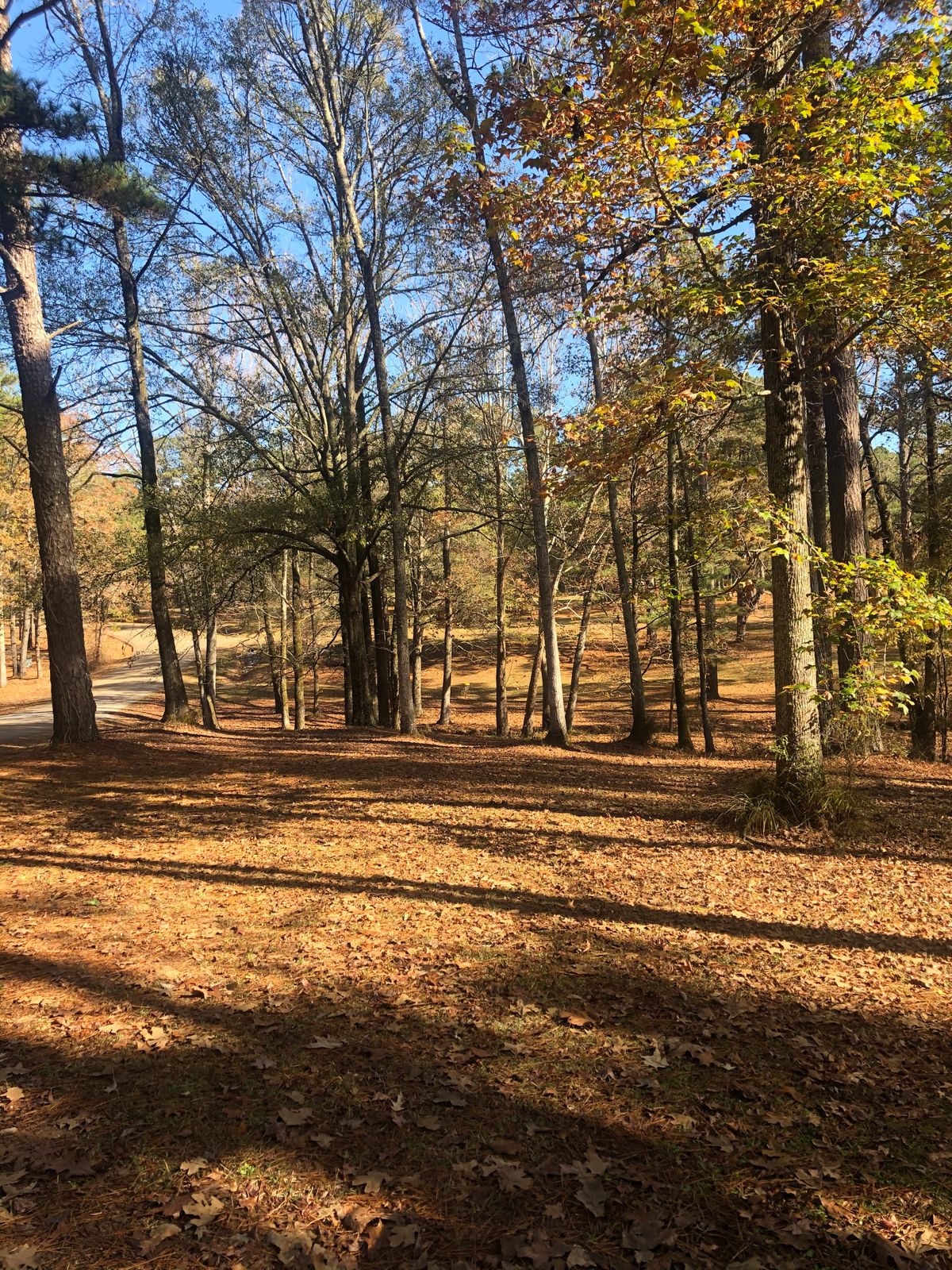 Hole 12