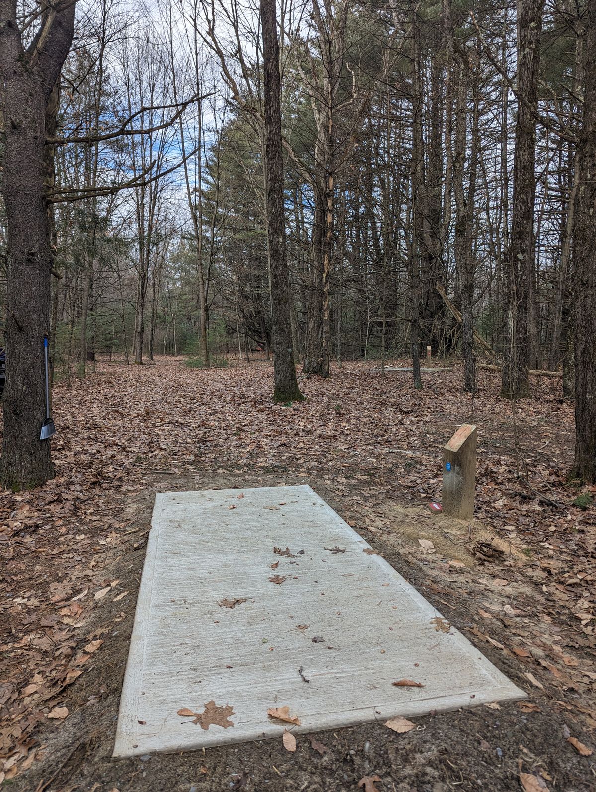 Hole 8 Blue tee 12/20/23