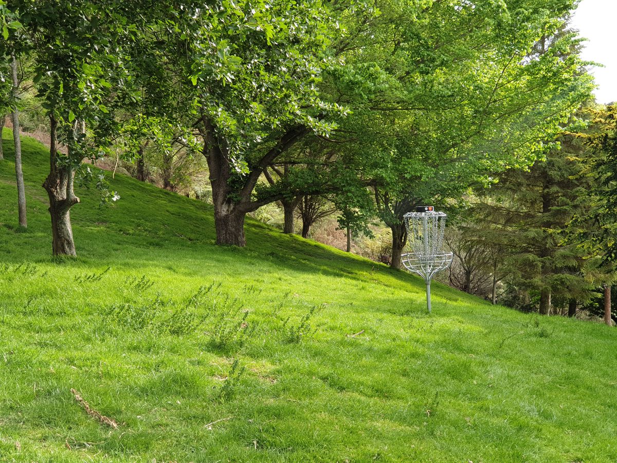 #2 Basket. #3 fairway follows the slope from left to right.