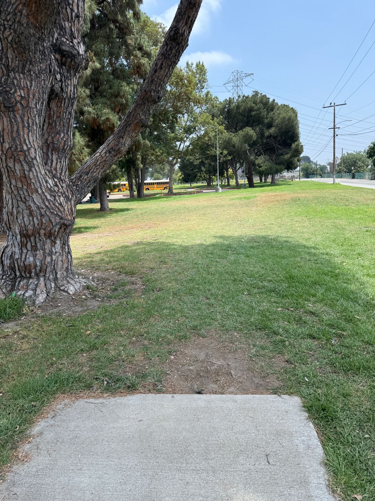 Hole 13 Tee