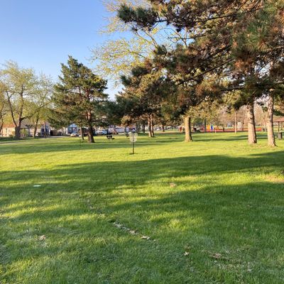 1 green
