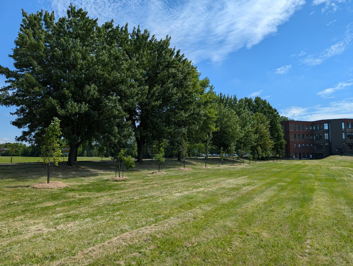 Fairway hole 13 alternate layout