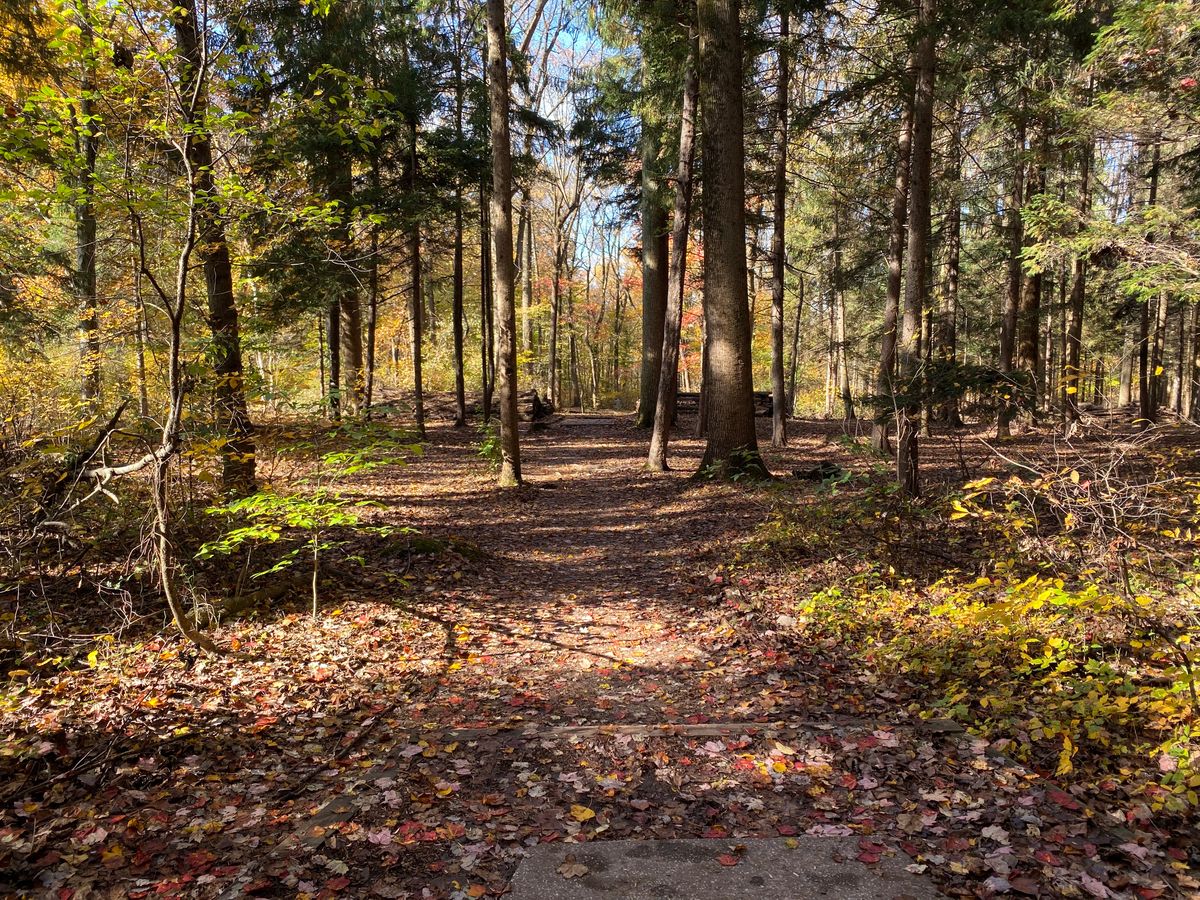 Hole 3