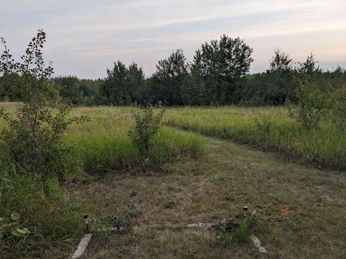 Hole 13
