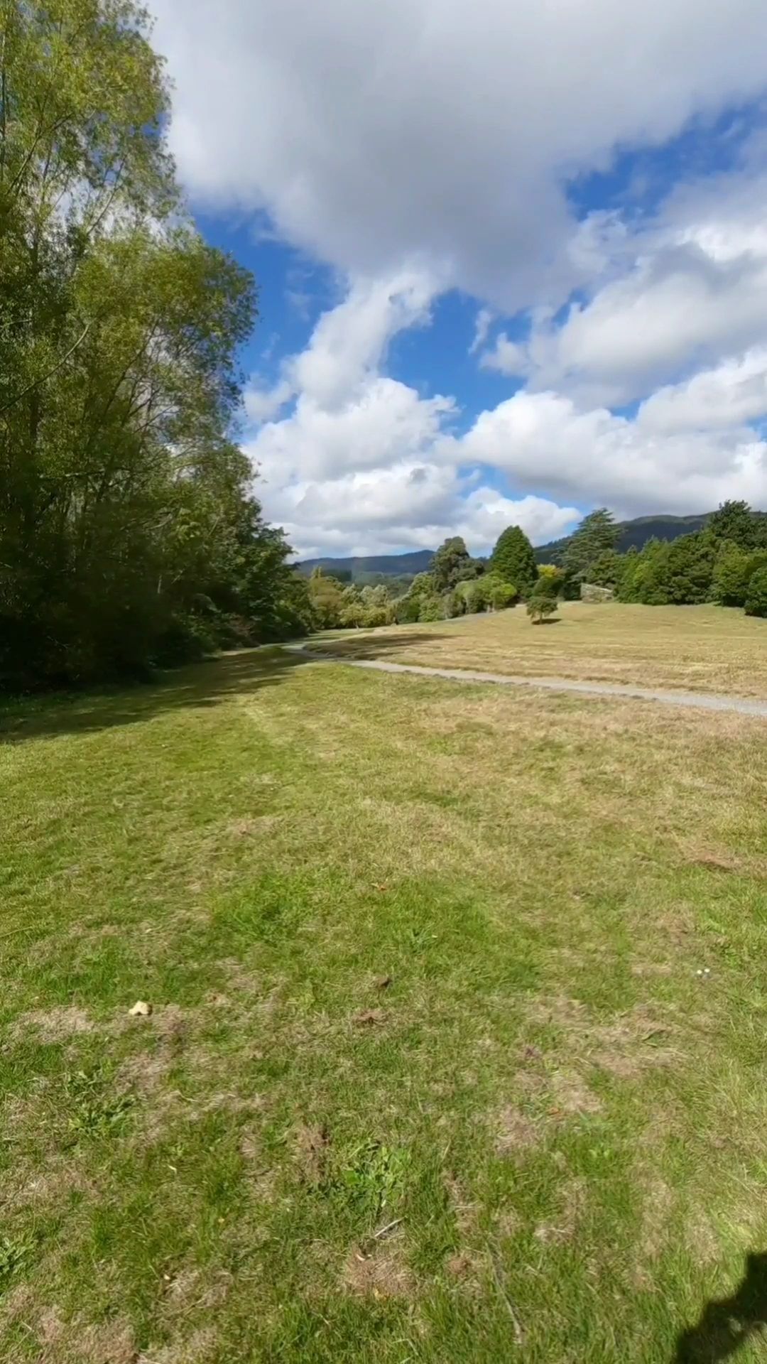Hole 6 tee