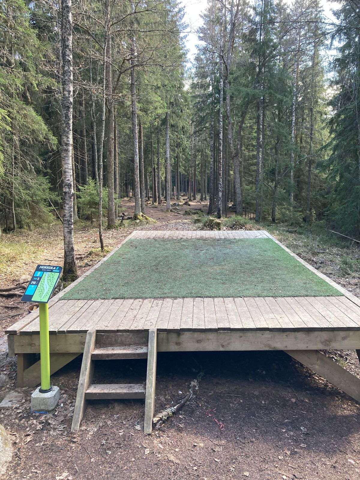 Forest hole 9
